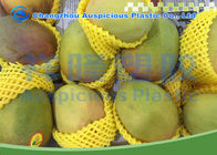Imballaggio netto proteggente perfetto di Epe della frutta materiale della schiuma per Apple/pera
