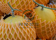 Protezione variopinta della frutta della copertura della rete della schiuma di EPE che imballa certificazione ISO9001/2008